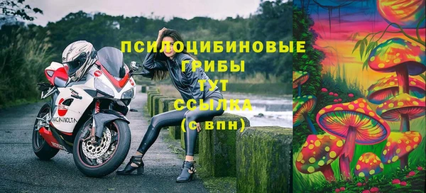 соль курить ск Бердск