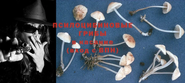 PSILOCYBIN Магас
